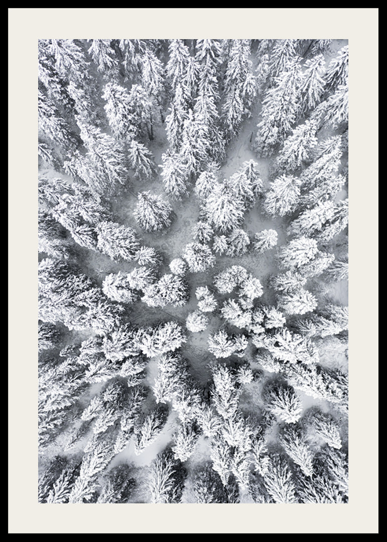 Aerial view of snow-covered spruce forest with densely standing treetops-12