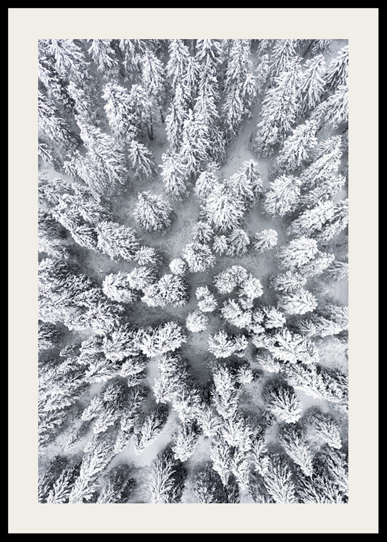 Ilmakuva lumen peittämästä kuusimetsästä tiheästi seisovien puiden latvustojen kanssa-12