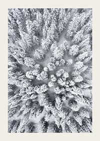 Aerial view of snow-covered spruce forest with densely standing treetops-3