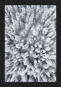 Aerial view of snow-covered spruce forest with densely standing treetops-5