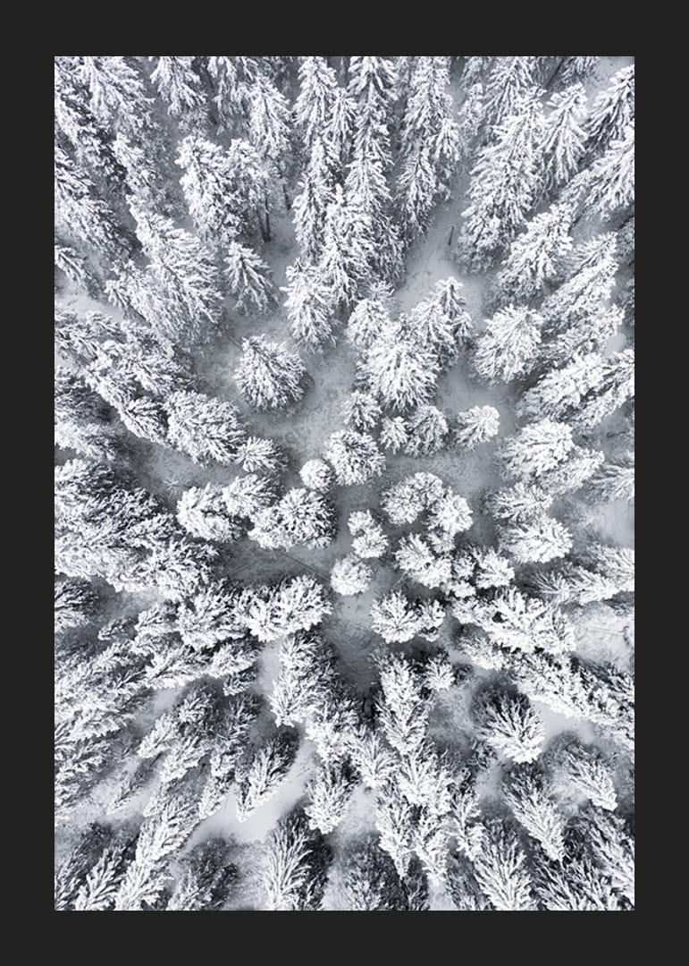 Ilmakuva lumen peittämästä kuusimetsästä tiheästi seisovien puiden latvustojen kanssa-12