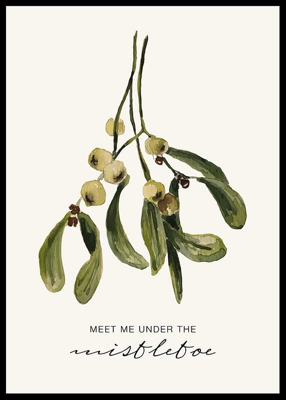 Under The Mistletoe-12