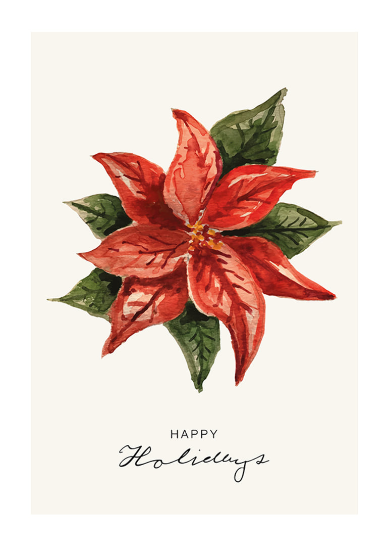 Illustration à l'aquarelle de poinsettia rouge avec des feuilles vertes-12
