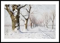Snow Covered Avenue-0