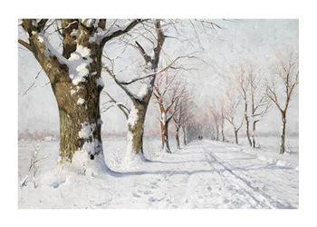 Poster Snow Covered Avenue