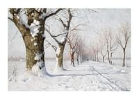 Snow Covered Avenue-1