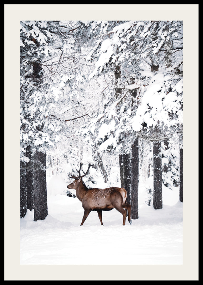 Photographic deer with large antlers in a snow-covered forest environment-12