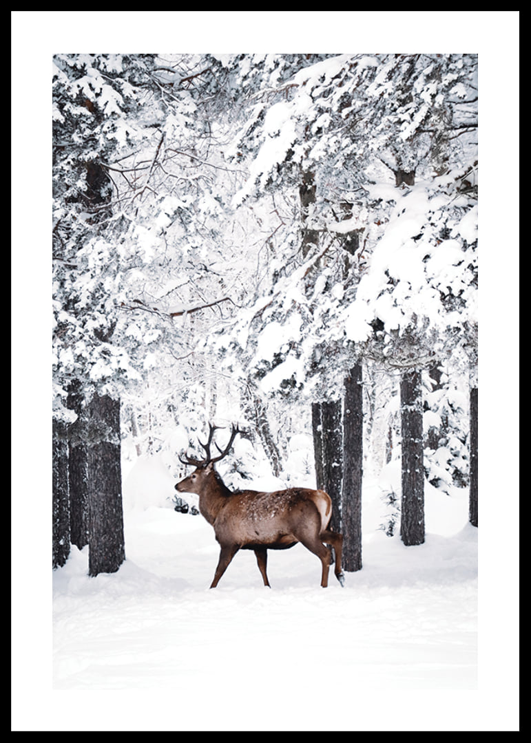 Photographic deer with large antlers in a snow-covered forest environment-12