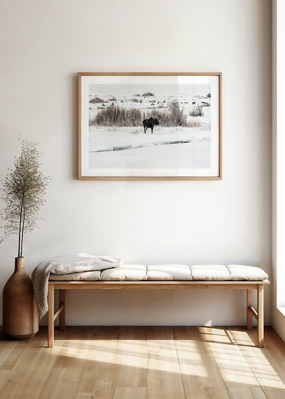 Photographic moose in snow-covered winter landscape with white tones-12