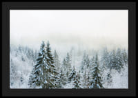 Hóval borított fenyőfák fényképe ködös téli tájban-4