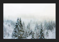 Hóval borított fenyőfák fényképe ködös téli tájban-5