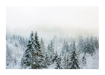 Plagát Snow Covered Forest
