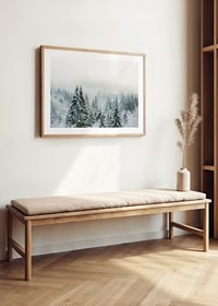 Photograph of snow-covered fir trees in foggy winter landscape-8