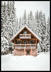 Wooden cottage surrounded by snow-covered fir trees in winter landscape-6