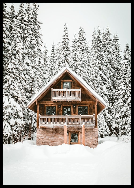 Wooden cottage surrounded by snow-covered fir trees in winter landscape-12