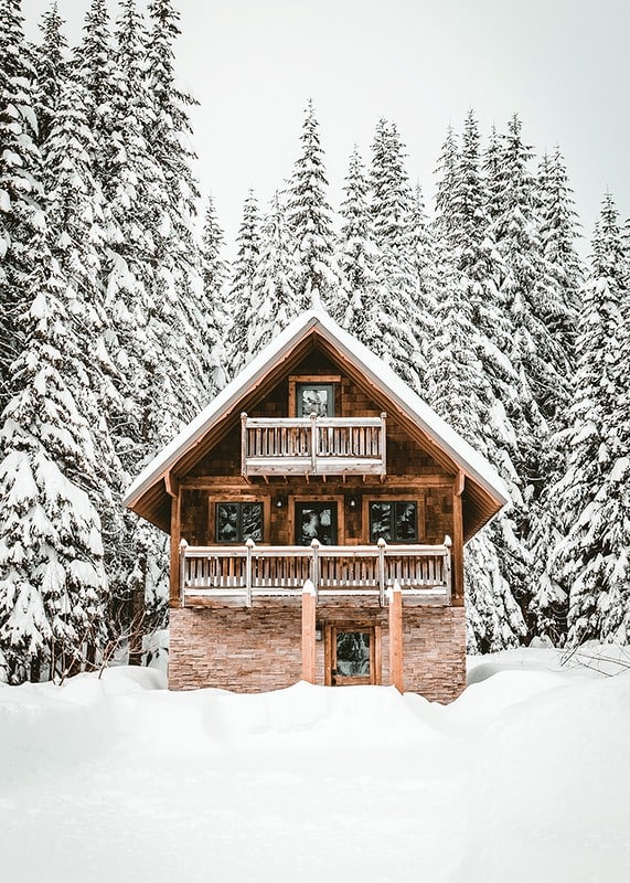 Wooden cottage surrounded by snow-covered fir trees in winter landscape-12
