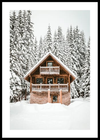 Poster Cabin In Snow No4