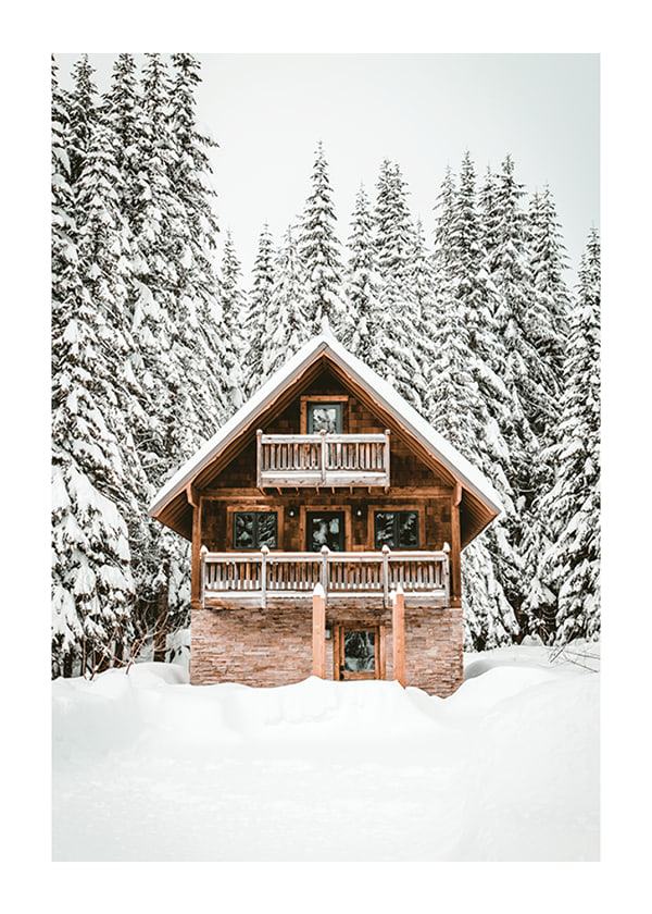 Poster Cabin In Snow No4