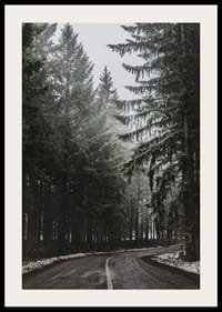 Photograph of winding road in spruce forest with snow on the ground-2