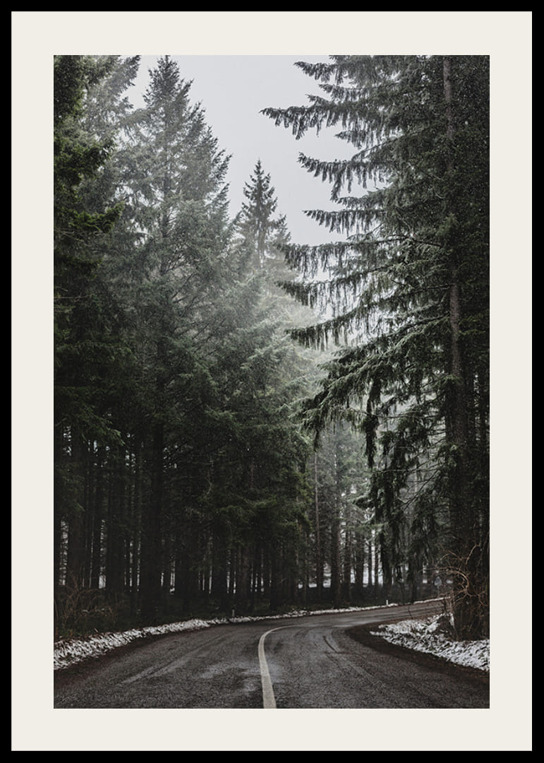 Photograph of winding road in spruce forest with snow on the ground-12
