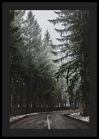 Fotografia kľukatej cesty v smrekovom lese so snehom na zemi-4