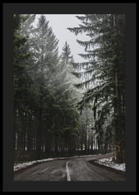 Photograph of winding road in spruce forest with snow on the ground-4