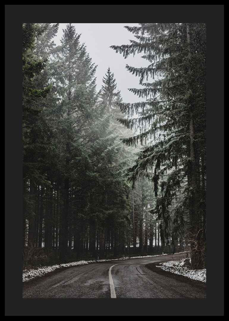 Photograph of winding road in spruce forest with snow on the ground-12
