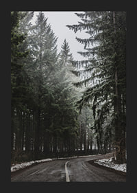 Fotografia kľukatej cesty v smrekovom lese so snehom na zemi-5