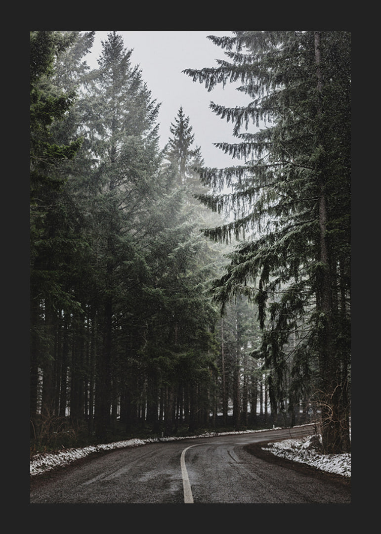 Fotografia kľukatej cesty v smrekovom lese so snehom na zemi-12
