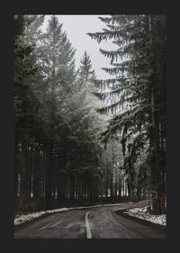 Photograph of winding road in spruce forest with snow on the ground-5