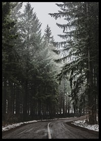 Fotografia kľukatej cesty v smrekovom lese so snehom na zemi-6