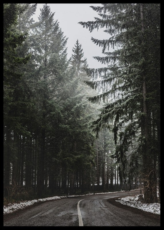 Fotografia kľukatej cesty v smrekovom lese so snehom na zemi-12