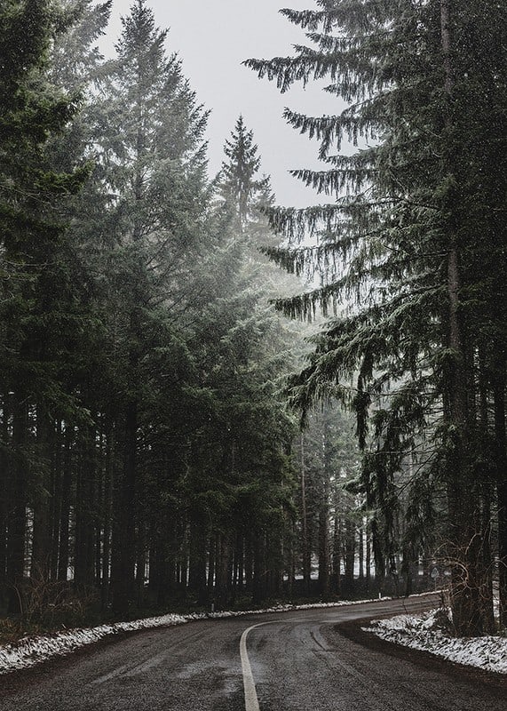 Fotografia kľukatej cesty v smrekovom lese so snehom na zemi-12