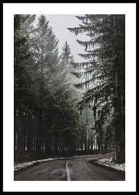 Fotografia kľukatej cesty v smrekovom lese so snehom na zemi-0