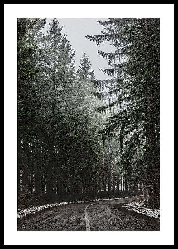 Deep Forest Road-12