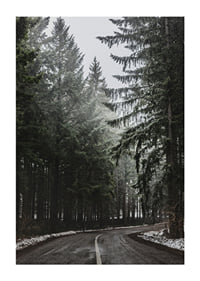 Fotografia kľukatej cesty v smrekovom lese so snehom na zemi-1