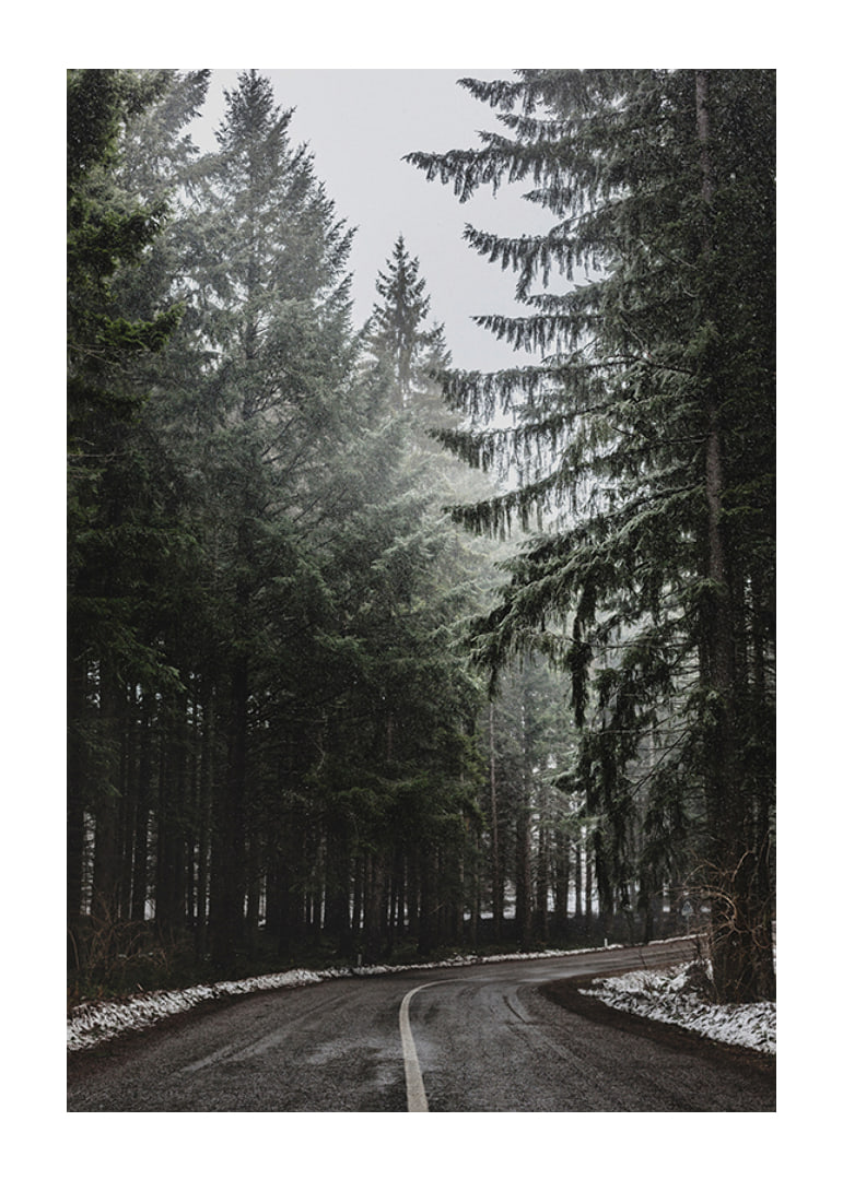 Fotografia kľukatej cesty v smrekovom lese so snehom na zemi-12