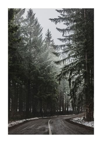 Poster Deep Forest Road