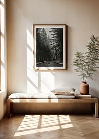 Deep Forest Road-4