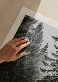 Fotografia kľukatej cesty v smrekovom lese so snehom na zemi-9