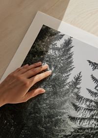 Deep Forest Road-5