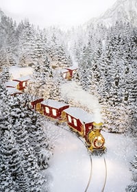 Illustrated train in a wintry landscape with snow-laden fir trees-7
