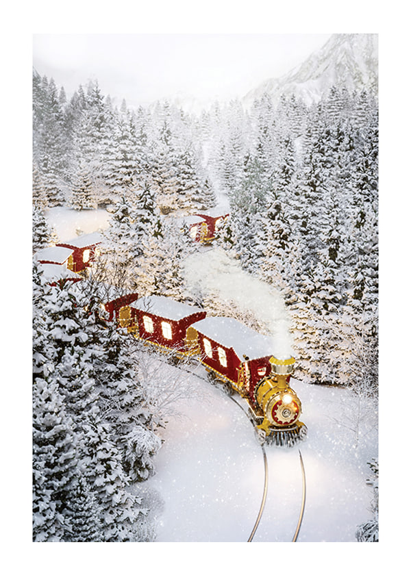 Poster Polar Express