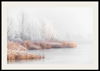 Photograph of frost-covered trees and reeds by a lake in winter mist-2