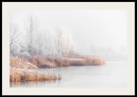 Fotografi av frostkledde trær og siv ved en innsjø i vintertåke-2