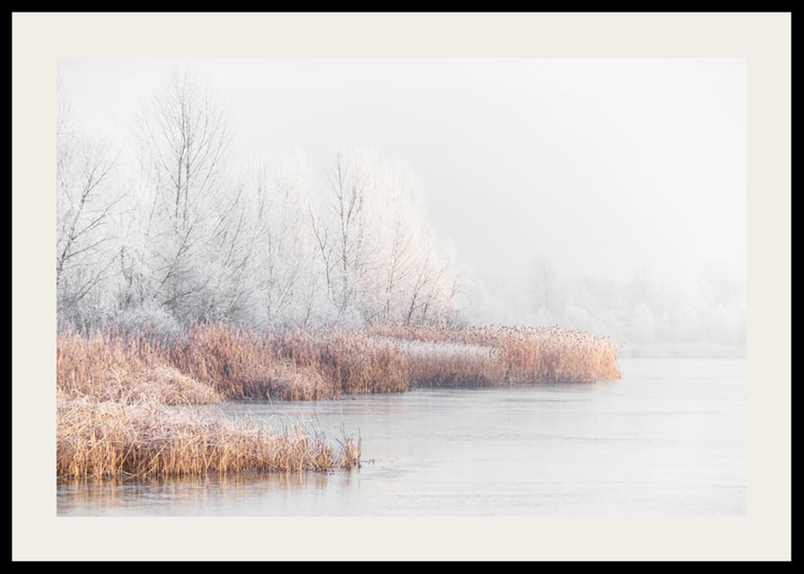 Fotografi av frostkledde trær og siv ved en innsjø i vintertåke-12