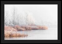 Photograph of frost-covered trees and reeds by a lake in winter mist-4