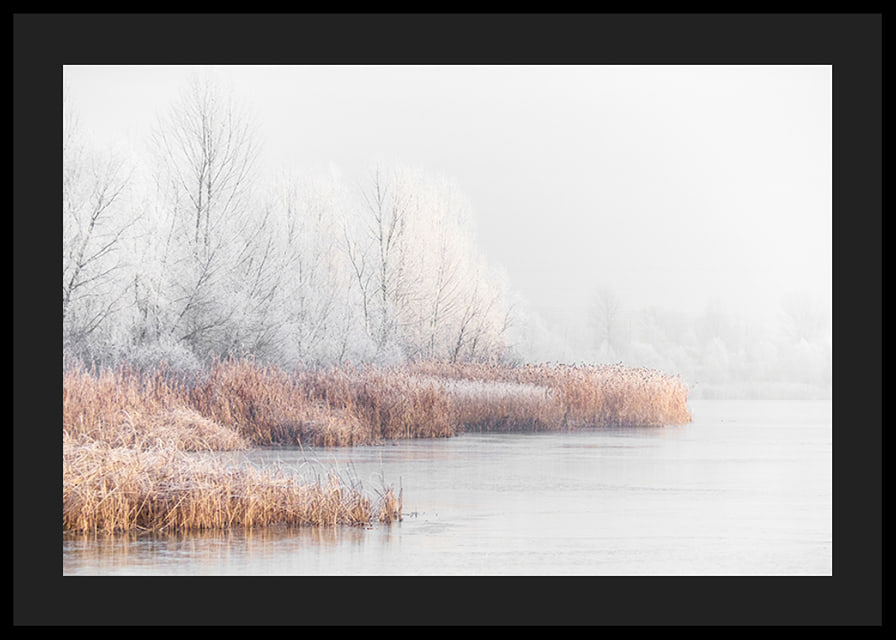 Photograph of frost-covered trees and reeds by a lake in winter mist-12