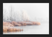 Photograph of frost-covered trees and reeds by a lake in winter mist-5