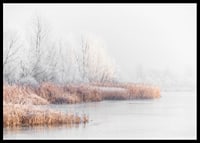 Photograph of frost-covered trees and reeds by a lake in winter mist-6